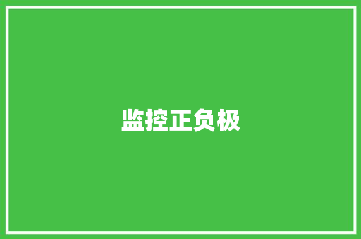 监控正负极
