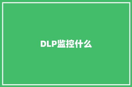 DLP监控什么,监控安装公司。