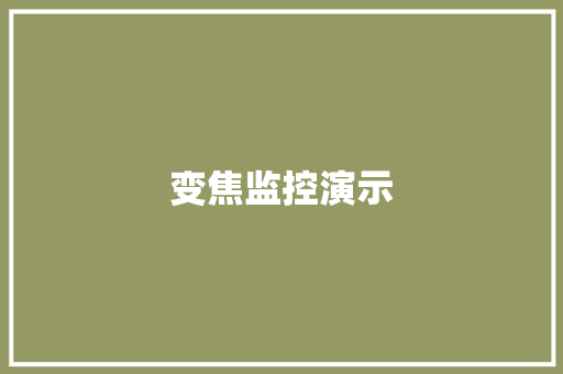 变焦监控演示