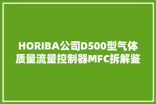 HORIBA公司D500型气体质量流量控制器MFC拆解鉴赏