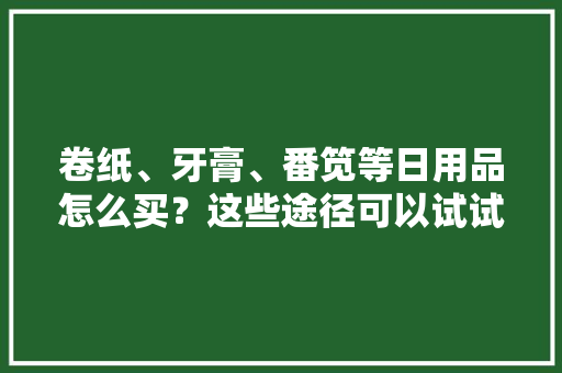 卷纸、牙膏、番笕等日用品怎么买？这些途径可以试试→