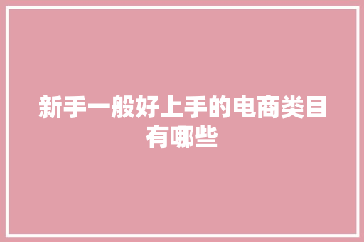 新手一般好上手的电商类目有哪些