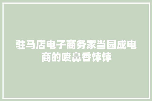 驻马店电子商务家当园成电商的喷鼻香饽饽