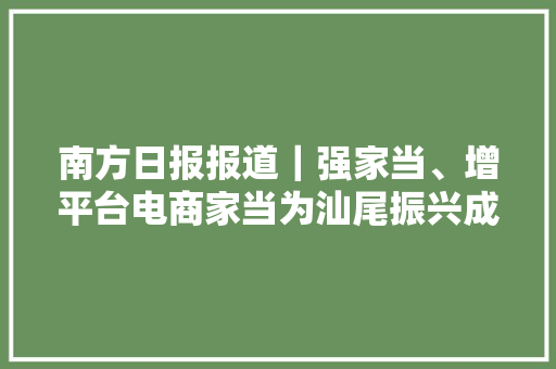 南方日报报道｜强家当、增平台电商家当为汕尾振兴成长赋能