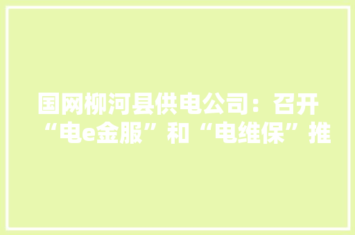 国网柳河县供电公司：召开“电e金服”和“电维保”推介会