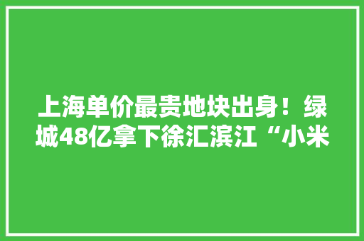 上海单价最贵地块出身！绿城48亿拿下徐汇滨江“小米地块”