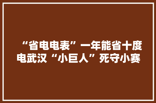 “省电电表”一年能省十度电武汉“小巨人”死守小赛道年产值8亿元