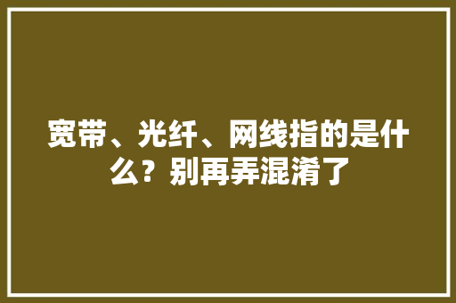 宽带、光纤、网线指的是什么？别再弄混淆了