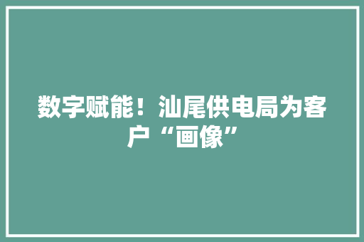 数字赋能！汕尾供电局为客户“画像”
