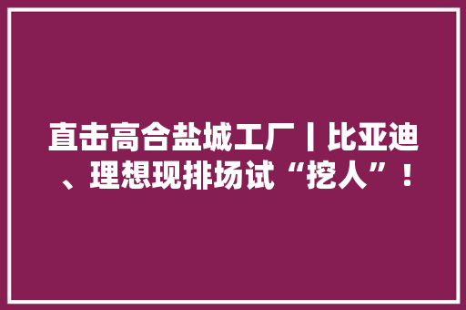 直击高合盐城工厂丨比亚迪、理想现排场试“挖人”！代理厂长：丁磊人在上海还在想办法