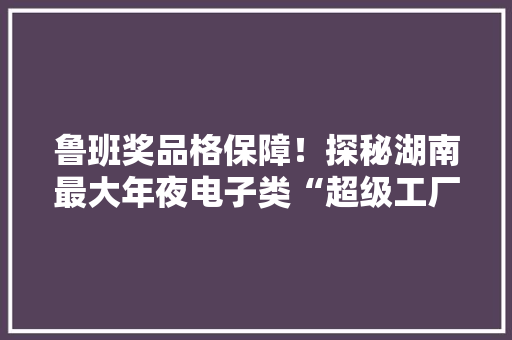 鲁班奖品格保障！探秘湖南最大年夜电子类“超级工厂”