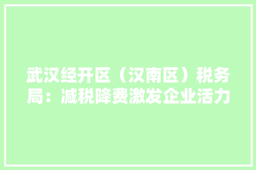 武汉经开区（汉南区）税务局：减税降费激发企业活力