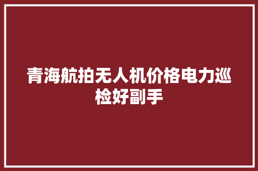 青海航拍无人机价格电力巡检好副手