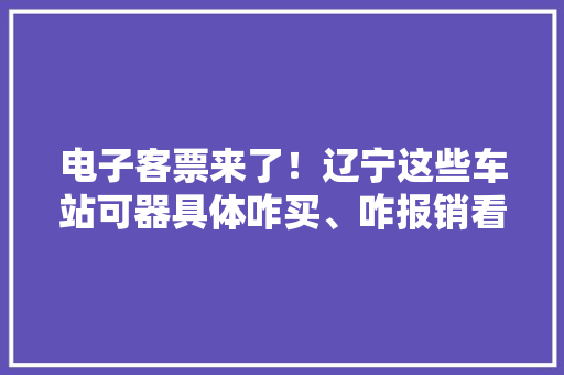 电子客票来了！辽宁这些车站可器具体咋买、咋报销看这里