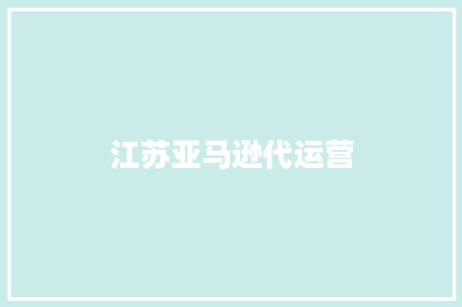 江苏亚马逊代运营