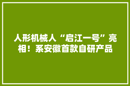 人形机械人“启江一号”亮相！系安徽首款自研产品