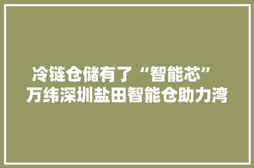 冷链仓储有了“智能芯” 万纬深圳盐田智能仓助力湾区生活加速度