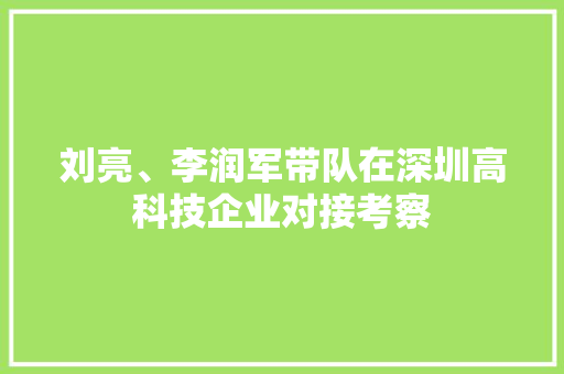刘亮、李润军带队在深圳高科技企业对接考察