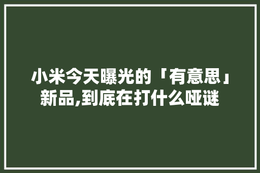 小米今天曝光的「有意思」新品,到底在打什么哑谜