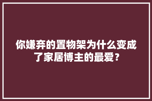 你嫌弃的置物架为什么变成了家居博主的最爱？