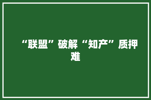 “联盟”破解“知产”质押难