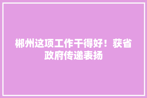 郴州这项工作干得好！获省政府传递表扬