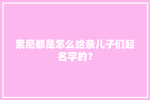 索尼都是怎么给亲儿子们起名字的？