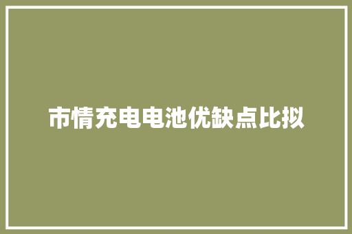 市情充电电池优缺点比拟