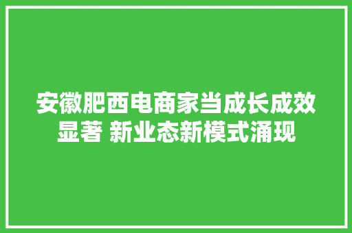安徽肥西电商家当成长成效显著 新业态新模式涌现