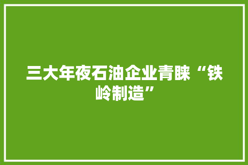 三大年夜石油企业青睐“铁岭制造”