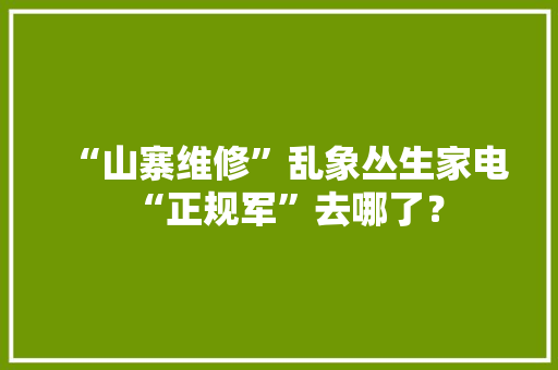 “山寨维修”乱象丛生家电“正规军”去哪了？