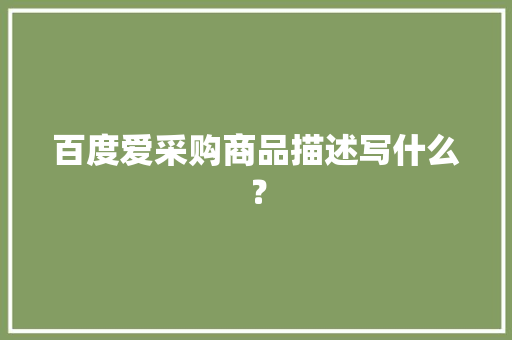百度爱采购商品描述写什么？