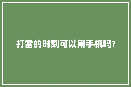 打雷的时刻可以用手机吗?