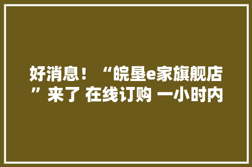 好消息！“皖垦e家旗舰店”来了 在线订购 一小时内送货上门