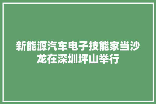 新能源汽车电子技能家当沙龙在深圳坪山举行