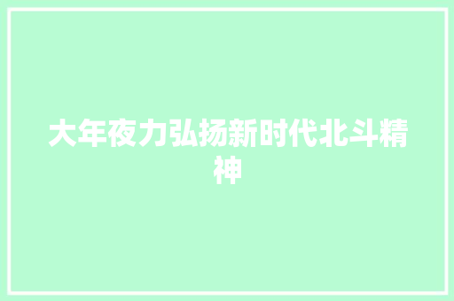 大年夜力弘扬新时代北斗精神