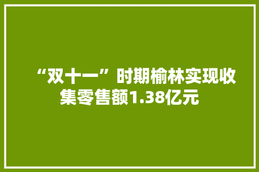 “双十一”时期榆林实现收集零售额1.38亿元