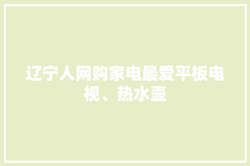 辽宁人网购家电最爱平板电视、热水壶