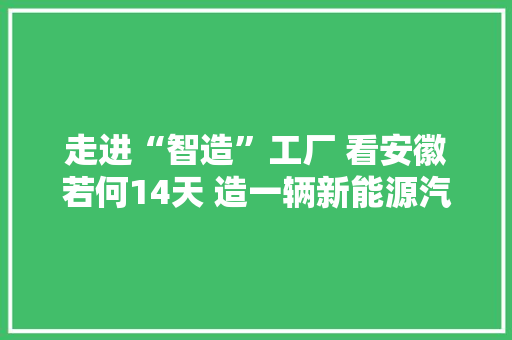 走进“智造”工厂 看安徽若何14天 造一辆新能源汽车