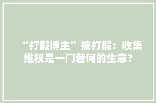 “打假博主”被打假：收集维权是一门若何的生意？
