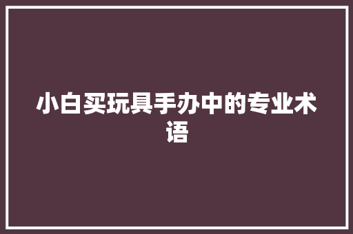 小白买玩具手办中的专业术语