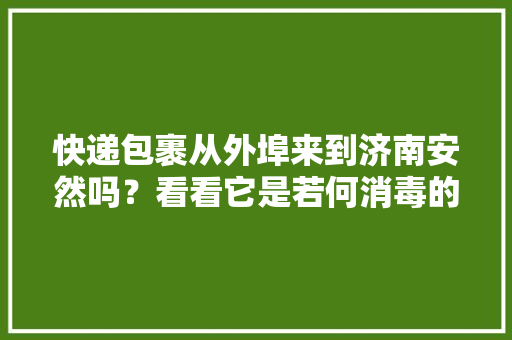 快递包裹从外埠来到济南安然吗？看看它是若何消毒的