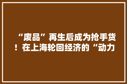 “废品”再生后成为抢手货！在上海轮回经济的“动力”从哪来？
