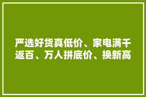 严选好货真低价、家电满千返百、万人拼底价、换新高补贴