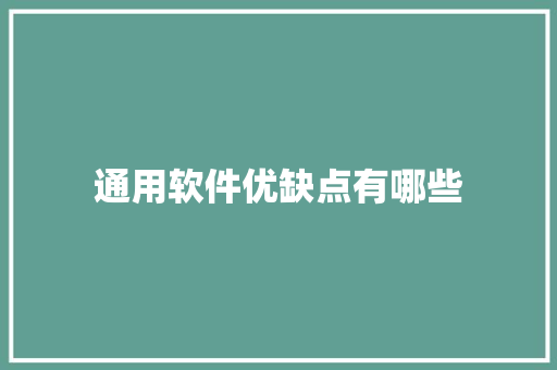 通用软件优缺点有哪些