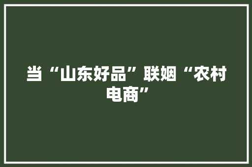 当“山东好品”联姻“农村电商”