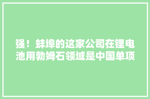 强！蚌埠的这家公司在锂电池用勃姆石领域是中国单项冠军