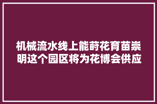 机械流水线上能莳花育苗崇明这个园区将为花博会供应百余莳花草