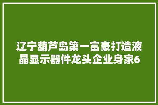 辽宁葫芦岛第一富豪打造液晶显示器件龙头企业身家66亿