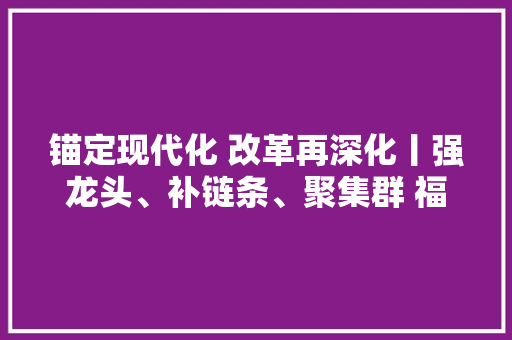 锚定现代化 改革再深化丨强龙头、补链条、聚集群 福建福鼎锂电家当蓬勃成长